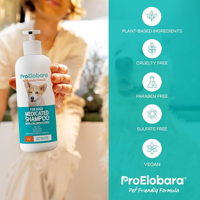 Medicated Dog Shampoo for Allergies and Itching: Antifungal Dog Shampoo, Yeast Infection and Bacterial Treatment for Dogs - Helps Hot Spots, Deodorizing and Anti Itch - Healthy Skin & Coat 16 OZ