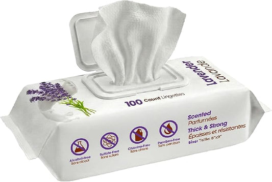 Best Pet Supplies 8" x 9" Large Dog Wipes - Cleaning and Deodorizing for Paws and Coat - Gentle Formula with Lavender Vitamin E for Puppies and Cats - 100 Count (Pack of 12)