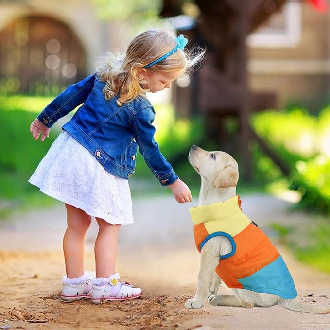 Idepet Pet Dog Cat Coat with Leash Anchor Color Patchwork Padded Puppy Teddy Chihuahua Jacket Vest Costumes Pug Clothes (M, Sky Blue)