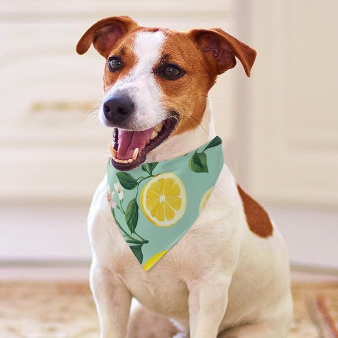 Soft and Lightweight Pet Fashion Scarves for Small, Medium, Large Dogs, Cats Lemon Tree Leaves Tropical Flowers Floral Wedding, Family Party, Casual Daily Use