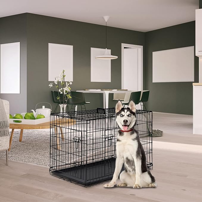 FDW Dog Crate for Large Dogs 42 Inch Folding Metal WirePet Cage Double Door W/Divider Panel Indoor Outdoor Kennel Leak-Proof Plastic Tray,Black | Heavy Duty, Portable Wire Kennel with Double Door, Divider & Leak-Proof Tray | For Training, Home, Travel ...