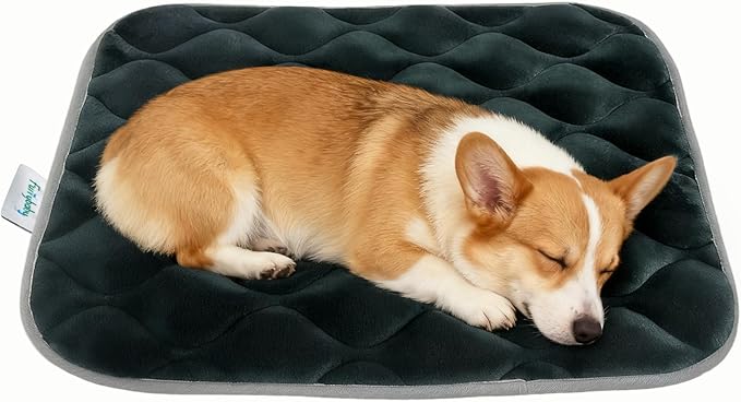 Dog Bed Mat Crate Pad, Anti-Slip Bottom Machine Washable Pet Pad | Thick lightweight mat with anti-slip bottom, machine washable. Ideal for dogs, cats in crates, home & car, S 24x18'', Grey