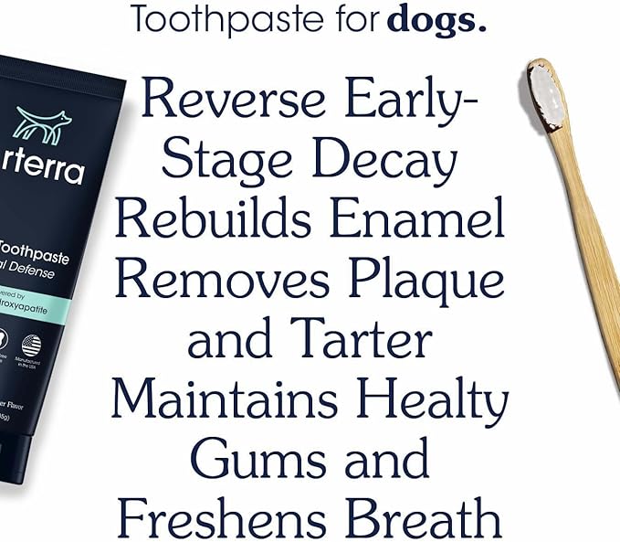 Remineralizing Dog Toothpaste – Vet-Grade, with Nano-Hydroxyapatite, Reverses Early-Stage Decay, Cleans Teeth, Removes Tartar, Freshens Breath by Arterra Pet Science, Plant-Based, Natural Flavor, 4oz