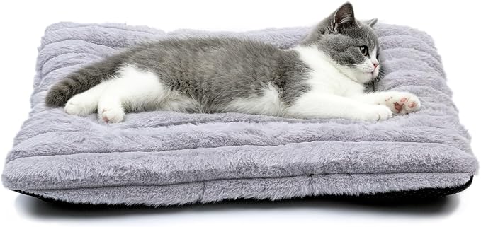18 Inch Ultra Soft Comfy Pet Bed, Tiny Dog Bed, Washable Anti-Slip Crate Pad Sleeping Cushion Mat for XX-Small Dogs, Indoor Cats & Cat Carrier, Light Gray