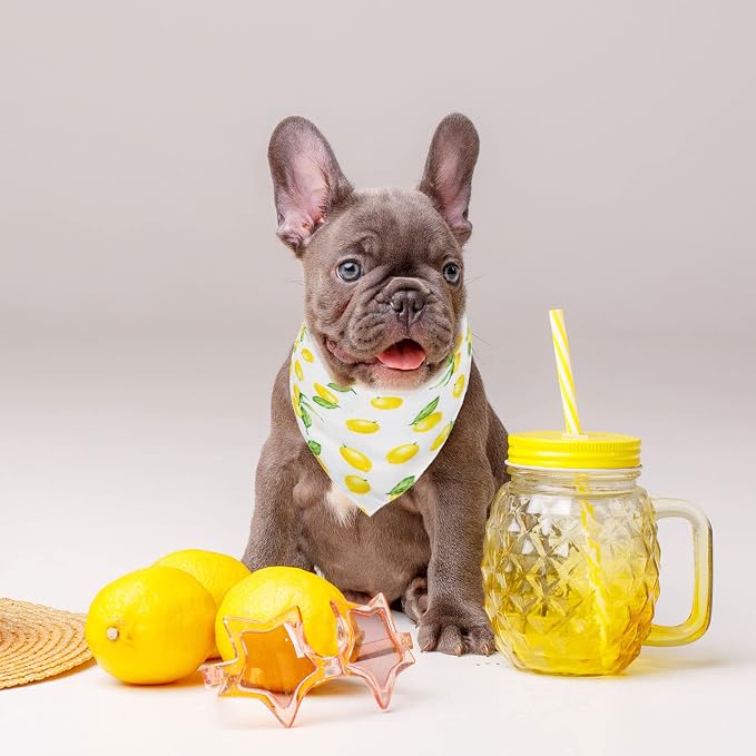 Whaline Yellow Lemon Dog Bandana Spring Summer Reversible Triangle Dog Scarf Adjustable Fruit Washable Pet Bibs Pet Neckerchief for Medium Large Cat Dogs Costume Accessories, 2 Pack
