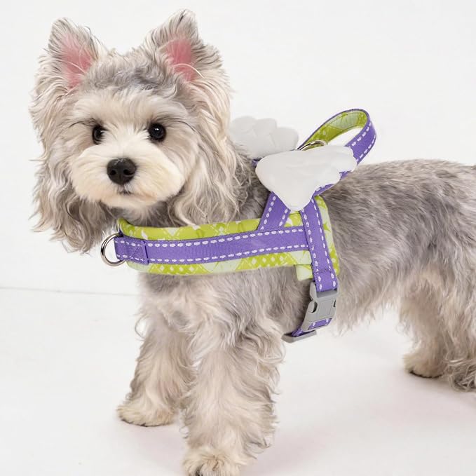 HDKUW Small Dog Harness with Angel Wings, Green M