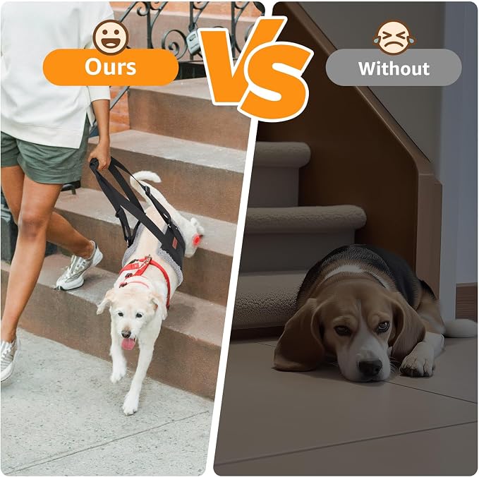 Adjustable Dog Sling for Medium Dogs Soft Post-ACL Surgery Mobility Aid | Dog Lift Harness, Helps Seniors, Injured, Disabled and After ACL Surgery Dogs, Daily Walk/ Stairs, Soft Padded, Easy to Use