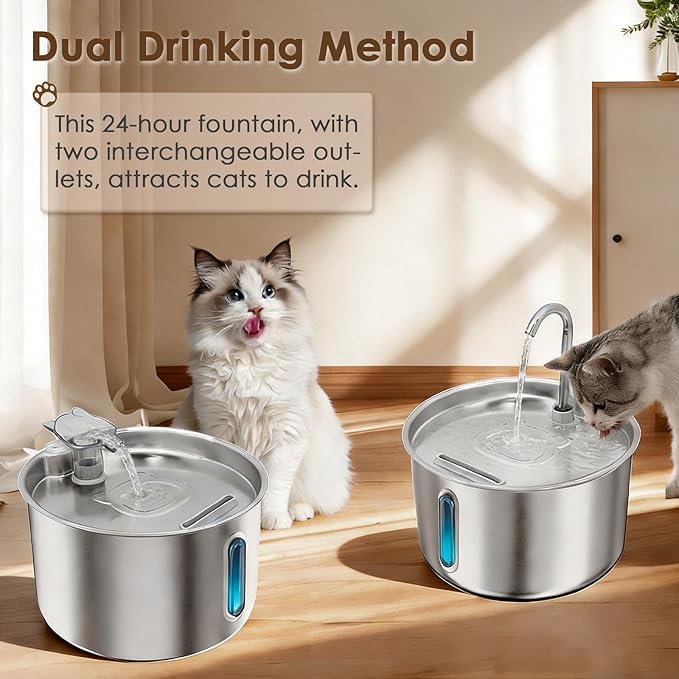 Stainless Steel Cat Water Fountain, 74oz/2.2L Automatic Pet Water Dispenser with 3 Filters & 2 Water Outlets, Quiet Indoor Drinking Fountain for Cats Small Dogs, Water Level Window