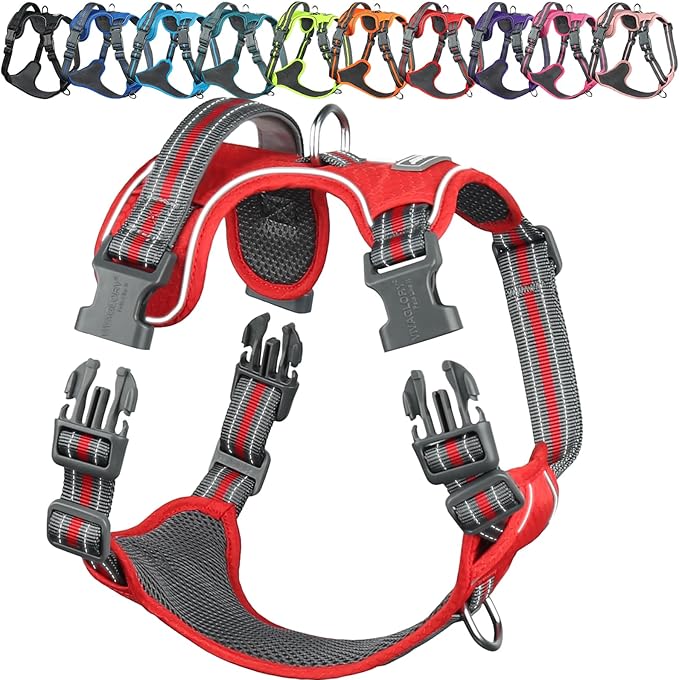 VIVAGLORY No Pull Dog Harness Vest Harness, S, Red - Patterned | with Handle Front and Back Clip for Training & Pulling, No Pull & Escape Proof Padded Adjustable for Pet Puppy