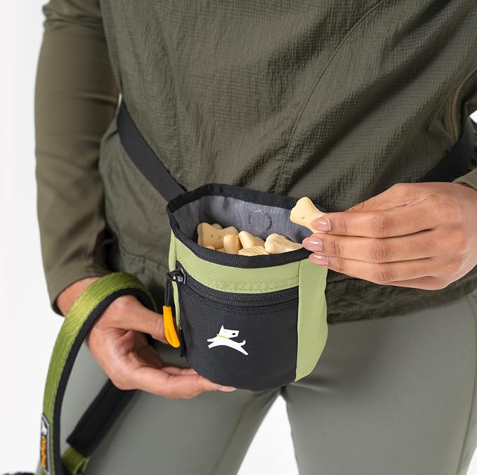 OllyDog, Goodie Treat Bag, Dog Treat Training Pouch | Magnetic Closure | 3 Ways to Wear | Hands-Free Waist Belt | Water-Resistant Recycled Vegan Fabric (Palm)
