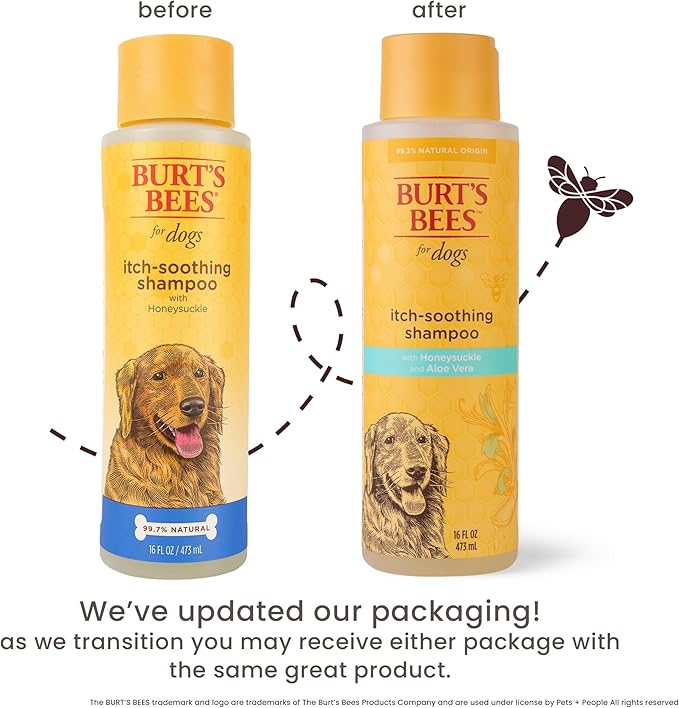 Burt's Bees for Pets Itch Soothing Dog Shampoo for Itchy Skin, pH Balanced Honeysuckle with Skin-Conditioning Honey, 95%+ Natural Origin Formula, No Sulfates, Fragrances, or Colorants, 16 Fl Oz - 6 Pk