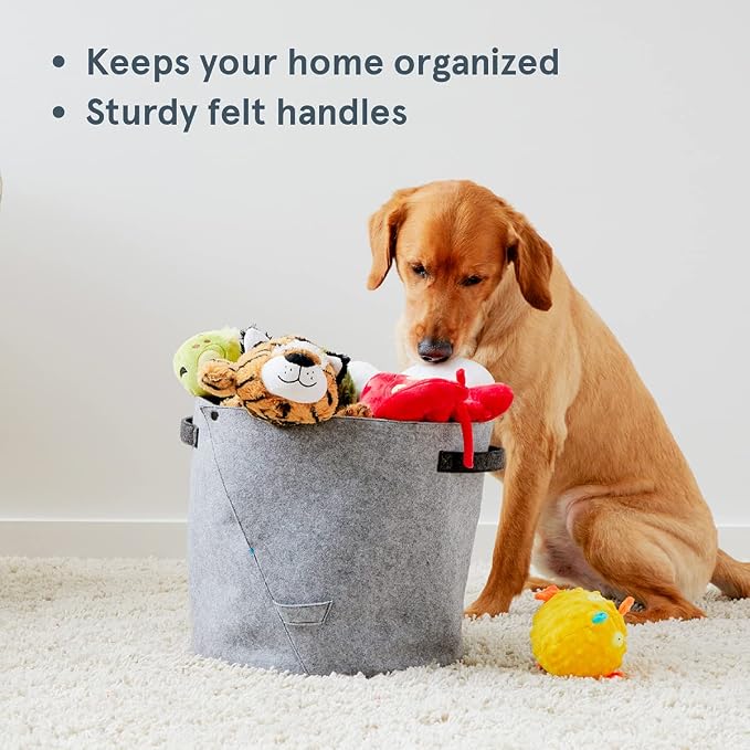 Barkbox – Felt Storage Bin for Dog Toys – Long Lasting Pet Supplies Container – Dog Home Decor Organizer for Tennis Balls, Squeaker Toys, Leashes, Collars and More – Standard Size 12” x 13” | Durable Felt Dog Toy Basket with Foldable Side - Pet Supplie...