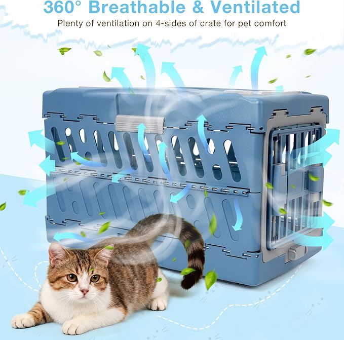 Pet Carrier for Cats & Small Dogs, Foldable Hard Cat Carrier | 2-Door Safety Lock, 360° Fully Breathable, Visible Windows, Washable Home & Outdoor Pet Travel Kennel, Up to 22Lbs