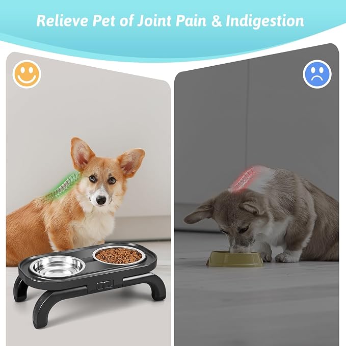 Elevated Dog Bowls, Heighth Adjustable Raised Dog Bowl Stand with Stainless Steel No Spill Water Bowl and Non-Slip Food Bowl, Metal Dog Feeding Station for Small and Medium Dogs & Cats, Black