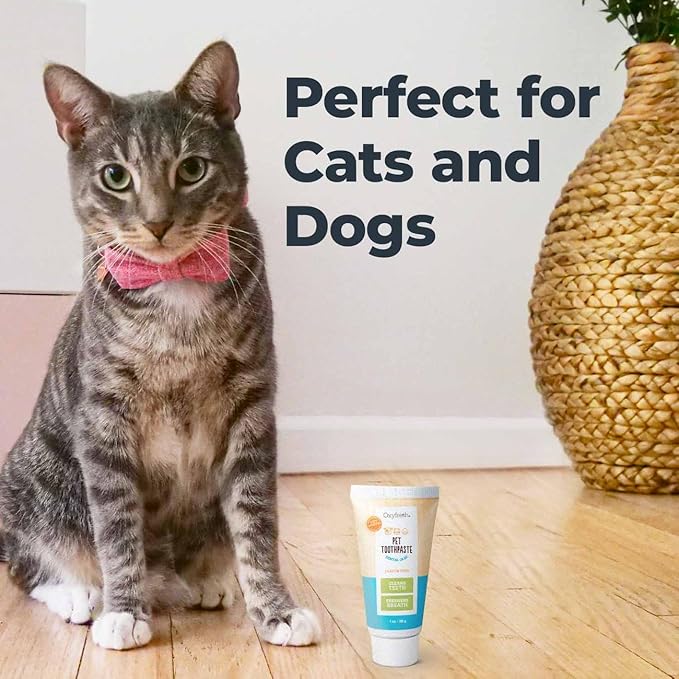 Oxyfresh Cat & Dog Toothpaste, Teeth Cleaning Gel for Plaque, Tartar & Bad Breath, Vet-Approved Pet Dental Care, 1 oz