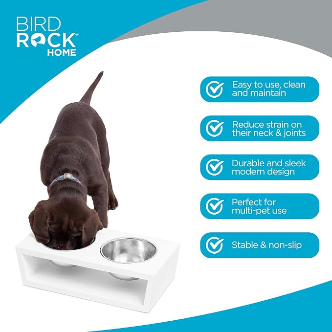 INTERNET'S BEST Modern Elevated Pet Feeder - Double Raised Stand w/Stainless Steel Bowls - Dog Food & Water Holder - Suitable for Medium Breeds - Pet Feeding Tray for Dogs, Cats - 2 Bowls - White