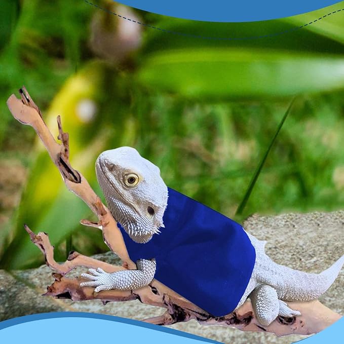 Lizard Clothes Bearded Dragon Hoodie Sweater Jacket Small Pet Costume Flannel Apparel for Reptiles Party Cosplay Props Chameleon Outfit Reptile Clothing Accessories（Blue）