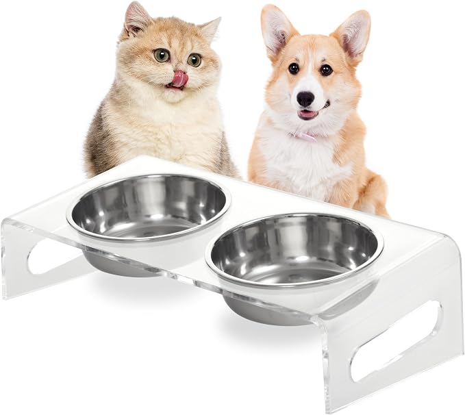 Tilted Raised Elevated Food and Water Bowls Stand for Cat or Small Dogs - Puppy's Clear Acrylic Stainless Steel Dishes Holder for Boy or Girl Pet,Modern,Durable and Easy to Clean by WBhonghui (Clear)