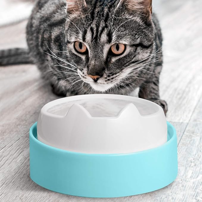 CatGuru Food Table for Cat Bowls, Elevated Feeding Station for Cat Food Bowl, Raised Stand for Pet Food and Water Bowls, Pet Feeder for Indoor Cats, Stress Free Stand for Pet Dishes or Plates (Aruba)