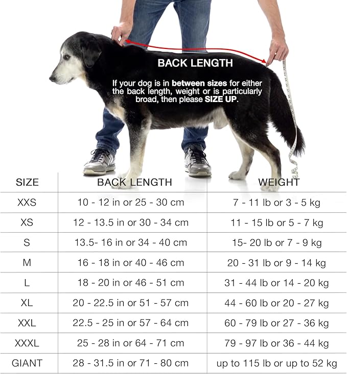 Lucky Pooch® Dog Robe - Luxurious Dog Bathrobe - Ultra Absorbent Dries Your Dogs in Minutes! Double-Layer, Super Soft Towel and Bath Robe All in One (M, Gray)