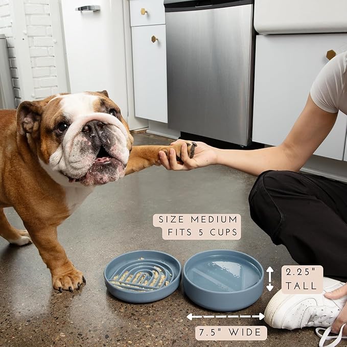 Should We Go? Dog Water Bowl - The Perfect Dish No-Spill, Less Mess Non-Tippable Water & Food Bowl, Silicone with Suction Cup Fits 5 Cups 7.5" Across x 2.25" Tall Ideal for All Pets, Medium-Terracotta