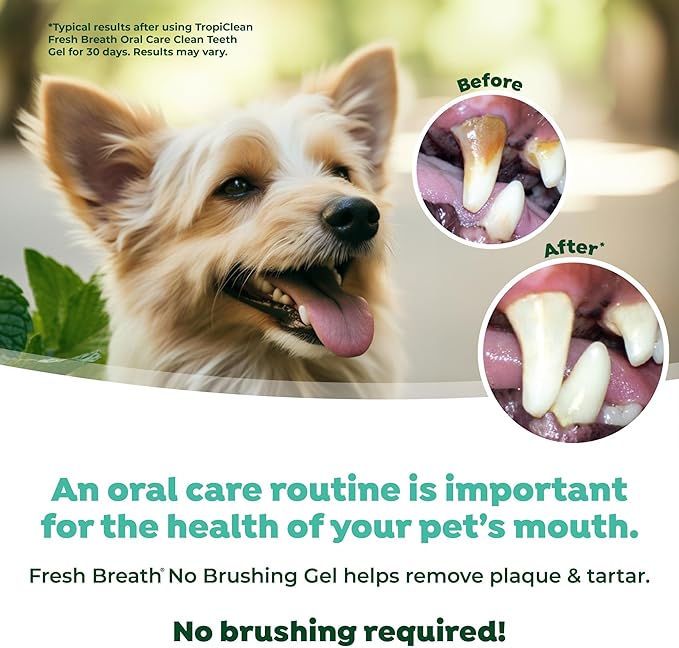 TropiClean Clean Teeth Gel for Dogs | Dog Dental Care | Dog Toothpaste | Breath Freshener | Easy Teeth Cleaning | Made in the USA | 2 oz