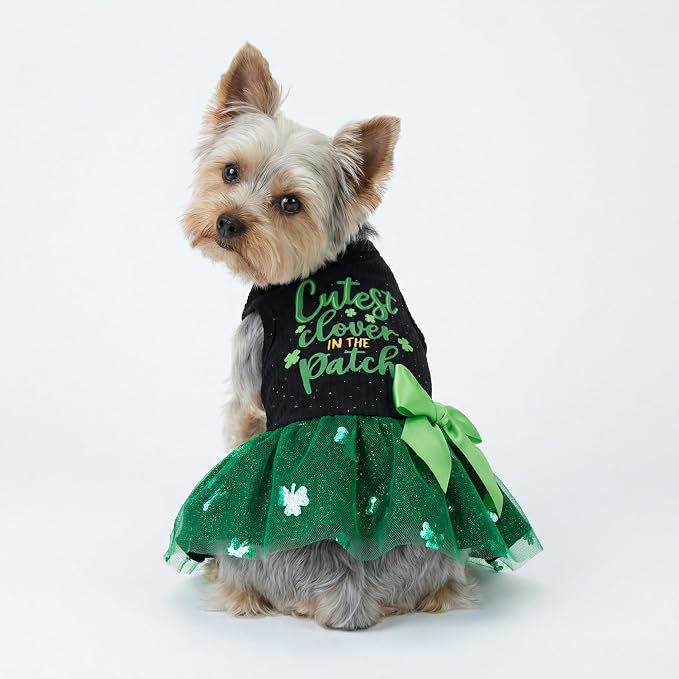 Fitwarm Cutest Clover in the Patch Dog Dress, St Patricks Day Dog Clothes for Small Dogs Girl, Funny Pet Cat Holiday Outfit, Black, Emerald Green, Large