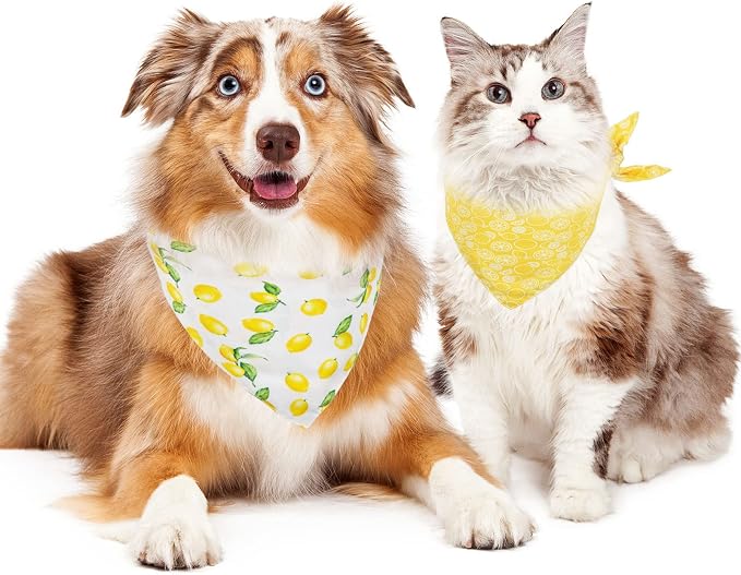 Whaline Yellow Lemon Dog Bandana Spring Summer Reversible Triangle Dog Scarf Adjustable Fruit Washable Pet Bibs Pet Neckerchief for Medium Large Cat Dogs Costume Accessories, 2 Pack