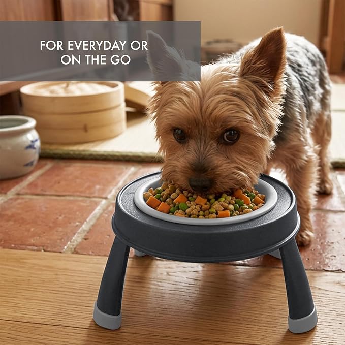 Dexas Pets Elevated Pet Feeder, Small, 1.5 Cup Capacity, Light Gray, Raised Pet Food and Water Bowl
