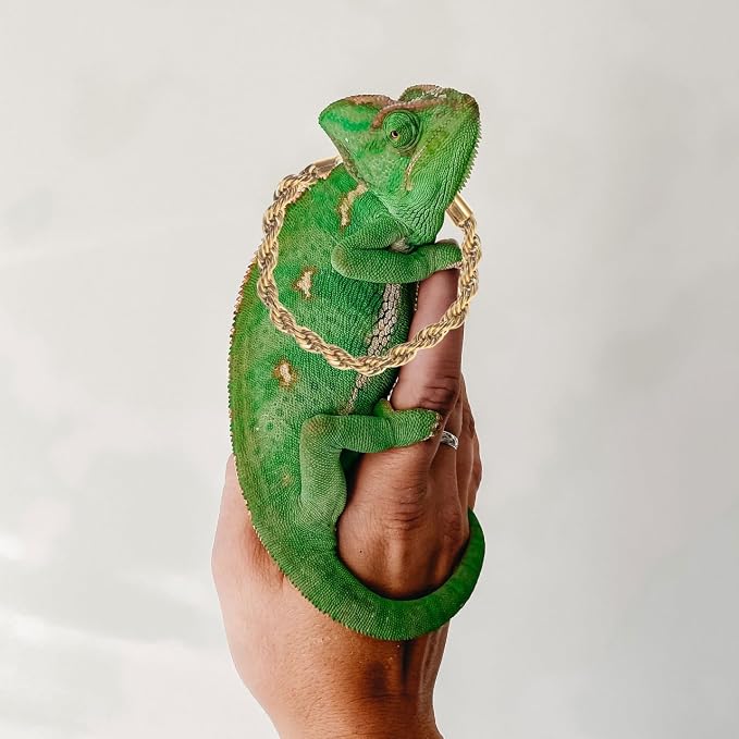 Lizard Clothes Accessories Reptile Crown Necklace with Chain Small Costume Hat for Bearded Dragon Snake Lizard Festival Photo Prop 0.98 X 0.98 X 0.51 in