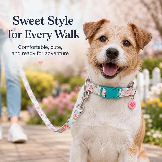 Floral Matching Dog Collar and Leash Set with AirTag Holder-Lily Daisy/M | Anti-Lost,Adjustable Durable Pet Collar Leash Combo for Medium Boy Girl Dogs,for Outdoor Walking Hiking Training Running