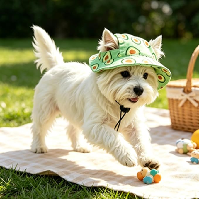 Cat Hats for Cats Only, Cat Sun Hat Sphynx Hat with Ear Hole Kitten Headwear Sun Sombrero Caps Summer Cat Cowboy Hats, Pet Chihuahua Sunscreen Baseball Outdoor Climbing Cap