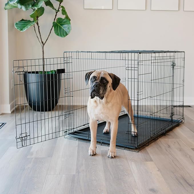 Carlson Pet Products Double Door Metal Dog Crate with Divider, Extra-Large 48" Dog Crate for Large Dogs, Foldable Collapsible Dog Kennel with Removable Tray, Wire Dog Cage for Training & Travel