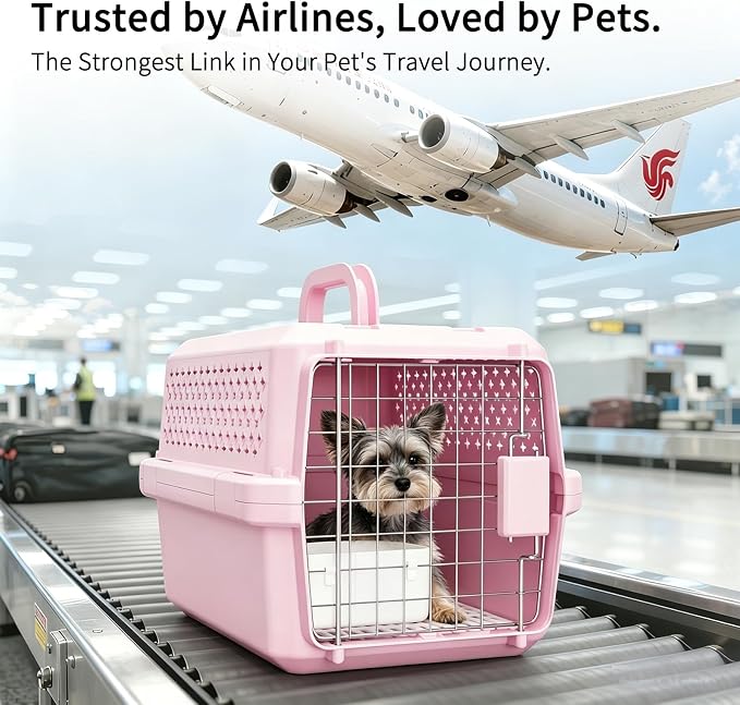 Airline Pet Carrier: Hard-Sided Small Cat & Dog Crate with Bowl | Airline-Approved Size / Durable Metal Locking Door / 360° Ventilation Panels / Top Handle for Easy Carry / Lightweight Shell