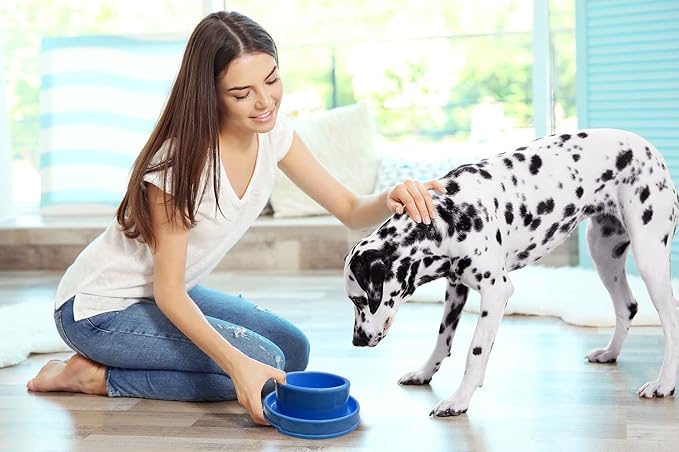 PetLike Ants Away Dog Bowls Pet Food Bowls, No Spill Cat Food Bowl Water Food Feeder Pet Dishes for Cat Puppies Small Medium Dogs…