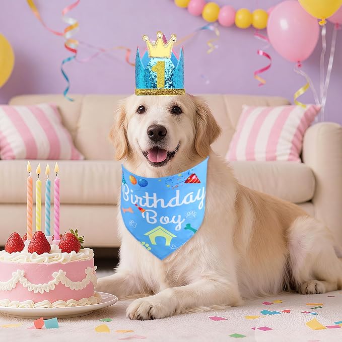 Rensh Dog Birthday Party Supplies, Dog Birthday Bandana Hat with Numbers for X-Large Large Small Pets, Multi Size Birthday Decorations for Dogs and Cats (Blue, Small)