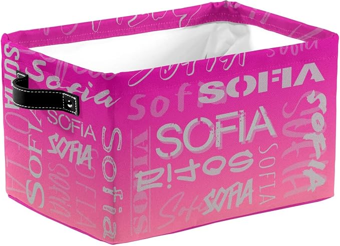 Personalized Storage Bins with Name Custom Kids Storage Basket Cubes Organizer with Handles for Organizing Boys and Girls Toys Shelf Closet Nursery Baskets Boxes, 1 Pack