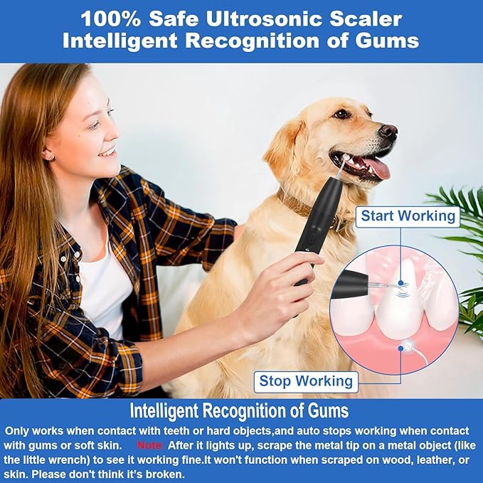 Dog Tooth Brushing Kit,Dogs Teeth Cleaning Kit with Light,3 Modes Doggie Plaque and Tartar Remover for Teeth,Low Noise Dog Teeth Cleaner and Dental Care,Black