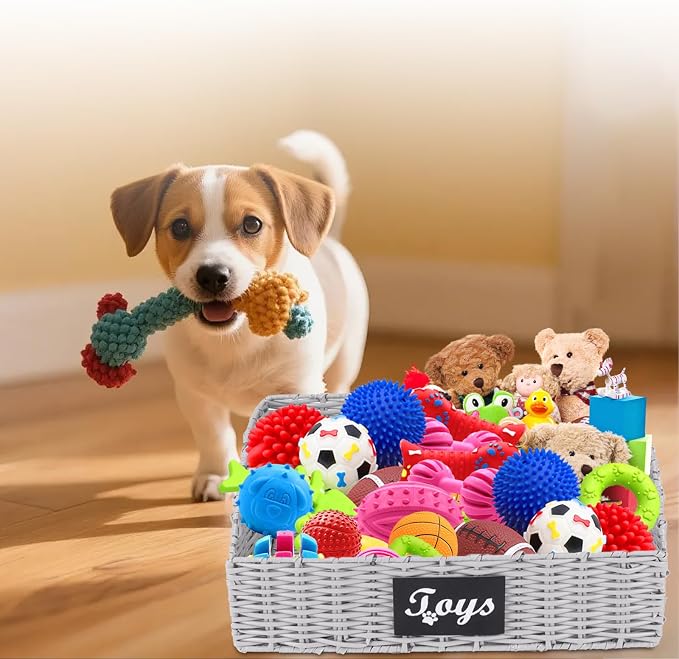 Dog Toy Basket,Cat Toys Bin,Woven Storage basket for Dog Cat Toys,Foldable Dog Toy Box for Living Room Area,Pet Organizer with Wire Frame,Ideal for Pet Accessories(Gray)