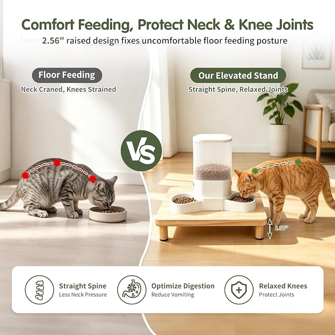 Extra Large Cat Food Stand, Wood Cat Feeder Stand 15.8 x 12.9 in