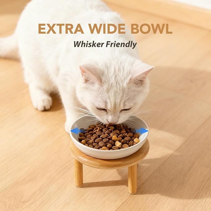 Havniva Elevated Cat Bowls, Ceramic Cat Bowl with Bamboo Stand Wide Opening | 5.7” Raised Cat Food Bowls, Whisker Friendly Cat Dish, Anti-Slip Cat Water Bowls, Shallow Cat Bowls, Cat Food & Water Bowl
