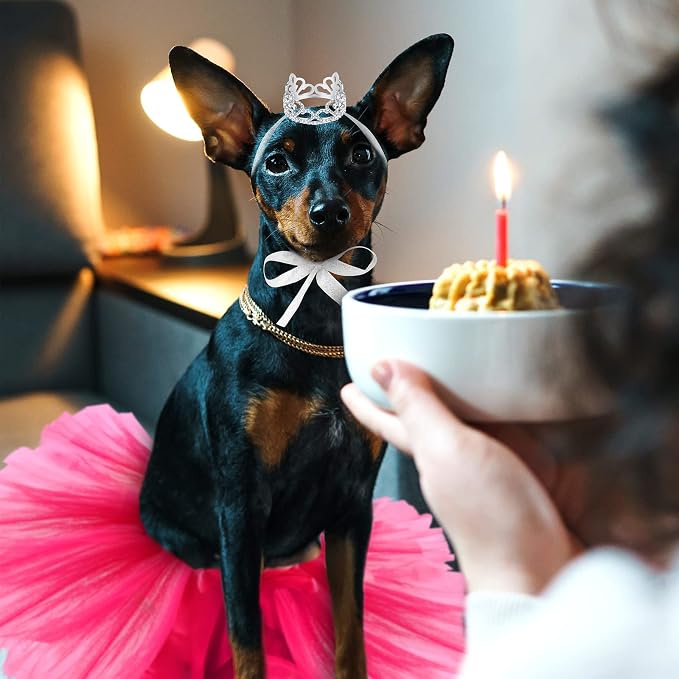 2 Pcs Dog Crown Headband Dog Tutu Dress Set Crystal Rhinestone Tiara Crown Tutu Skirt Pet Dress Costume for Puppy Birthday Party Wedding Photo Prop Costume(Medium,Rose Red)