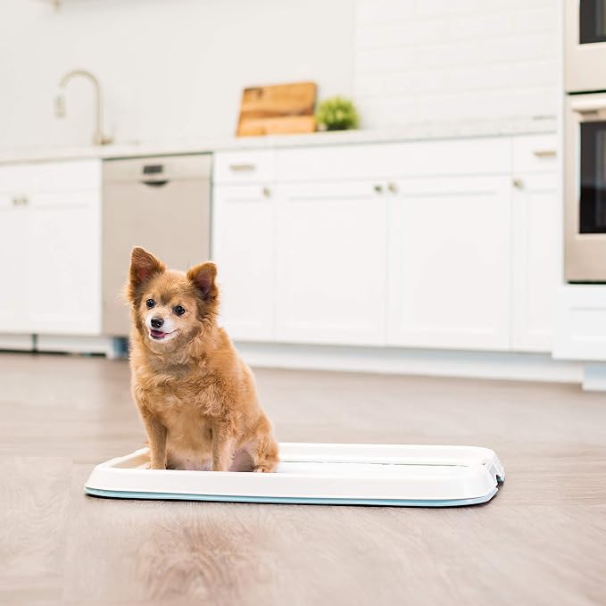 IRIS USA Pee Pad Holder, Fits 17x23 Pads, Blue, Made in USA | Dog Training Pad Holder, Holds Pads in Place, Leakproof Design, Secure Latches, Non-Skid Feet, Easy Clean Surface
