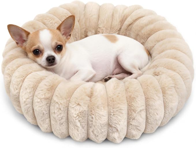 Mini Dog Bed for Very Small Dogs & Cats Washable, Fluffy Round Extra Small Kitten Beds for Indoor Kittens, Ultra-Soft Tiny Puppy Cat Donut Bed for Cozy Sleep, Beige, 16 x 16 x 3.5 Inch