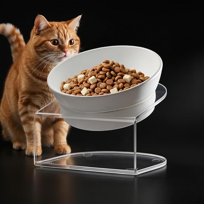 Raised Cat Bowl, 15° Tilted, 4.5 in High, White | 15° tilted shallow melamine bowl on a 4.5 in raised stand supports comfortable feeding and reduces whisker contact.