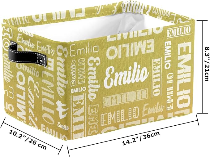 Personalized Toy Box Storage Bins for Boys Girls with Name, Kids Custom Storage Basket Cubes Organizer with Handles, Shelf Closet Storage Baskets Bin Customized Gift, 1 Pack