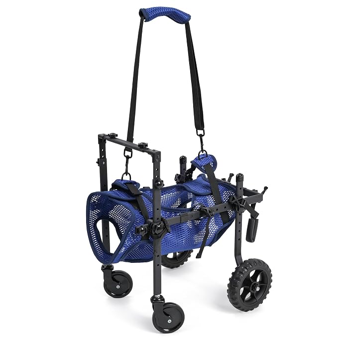 Quad Dog Wheelchair for Disabled Dogs, 4-Wheel Mobility Cart with Harness