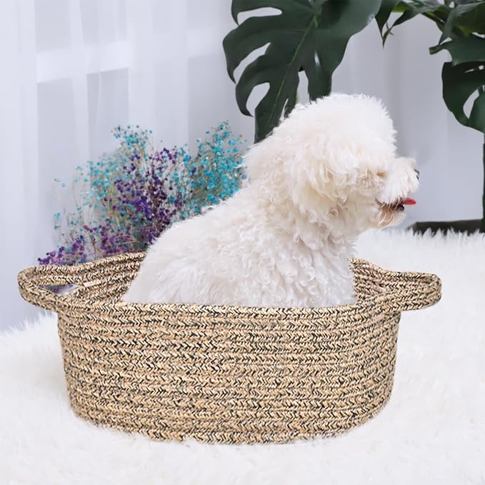 ABenkle Small Basket with Handles, Boho Decorative Rope Woven Dog Cat Toy Storage Bin Shelf Storage Organizer, Easter Christmas Gift Basket, 12"x8"x5"