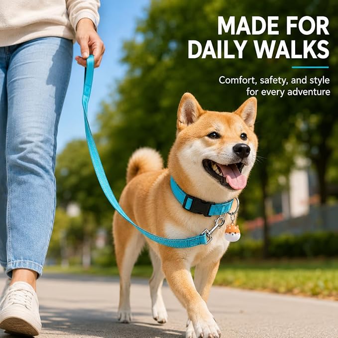 Reflective Soft Neoprene Padded Matching Dog Collar with Leash Airtag Holder Case Set Safety Breathable Adjustable Nylon Dog Collars for X-Small Small Medium Large Dogs-Sky Blue-M