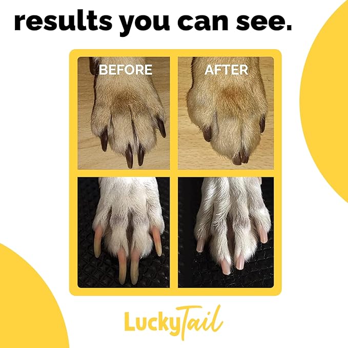 LUCKY TAIL - Dog Nail Grinder - Regular, Hard & Soft Replacement Head - Small & Large Dogs - Premium Quality - Diamond Tip Drill Bit - Professional Dog Nail Trimmers - Grooming Kit - 3 Pack